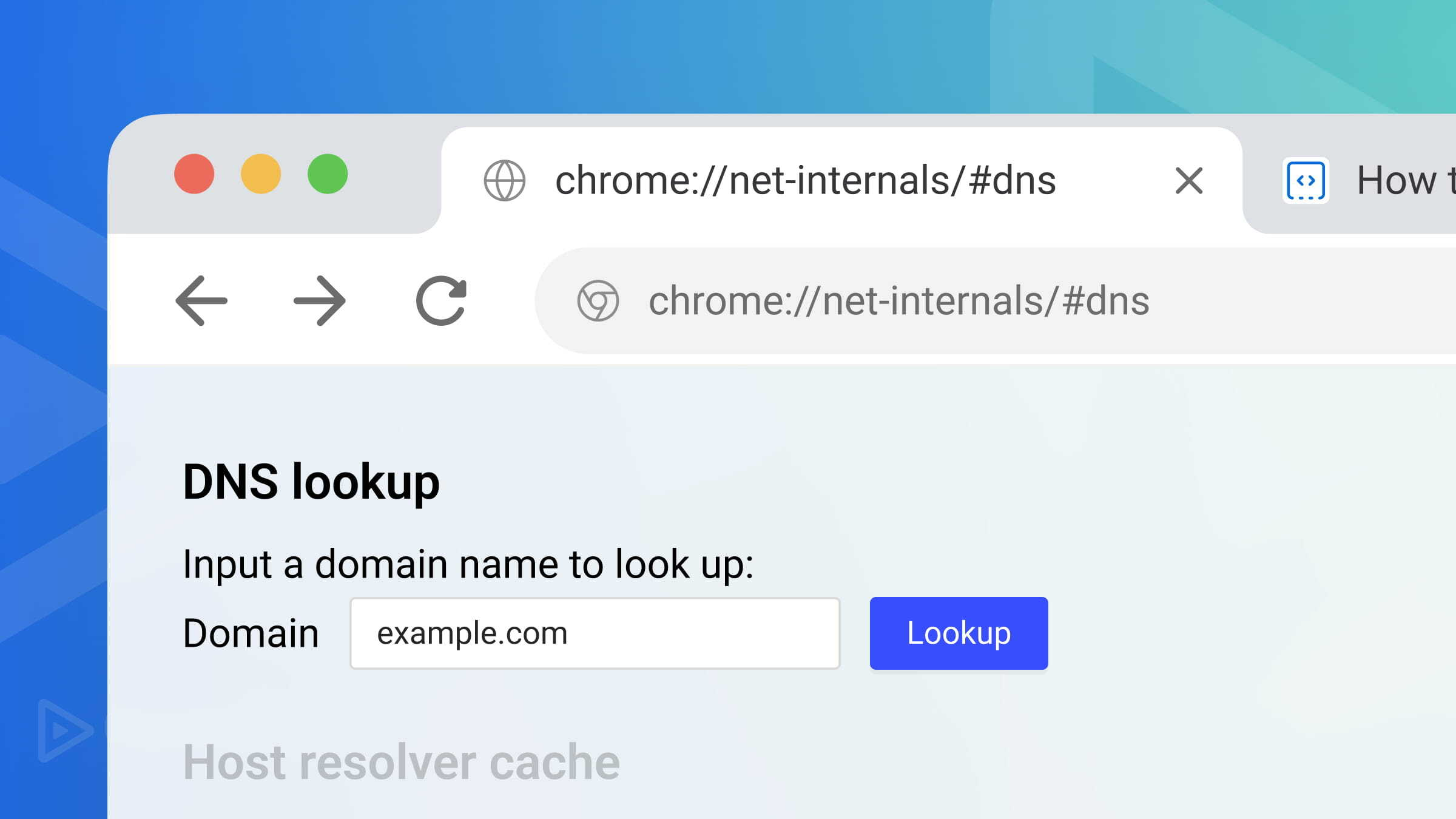 How to Clear DNS Cache in Chrome Using chrome://net-internals/#dns (Desktop and Android)