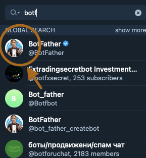 12 A screenshot of the result for the search for Botfather