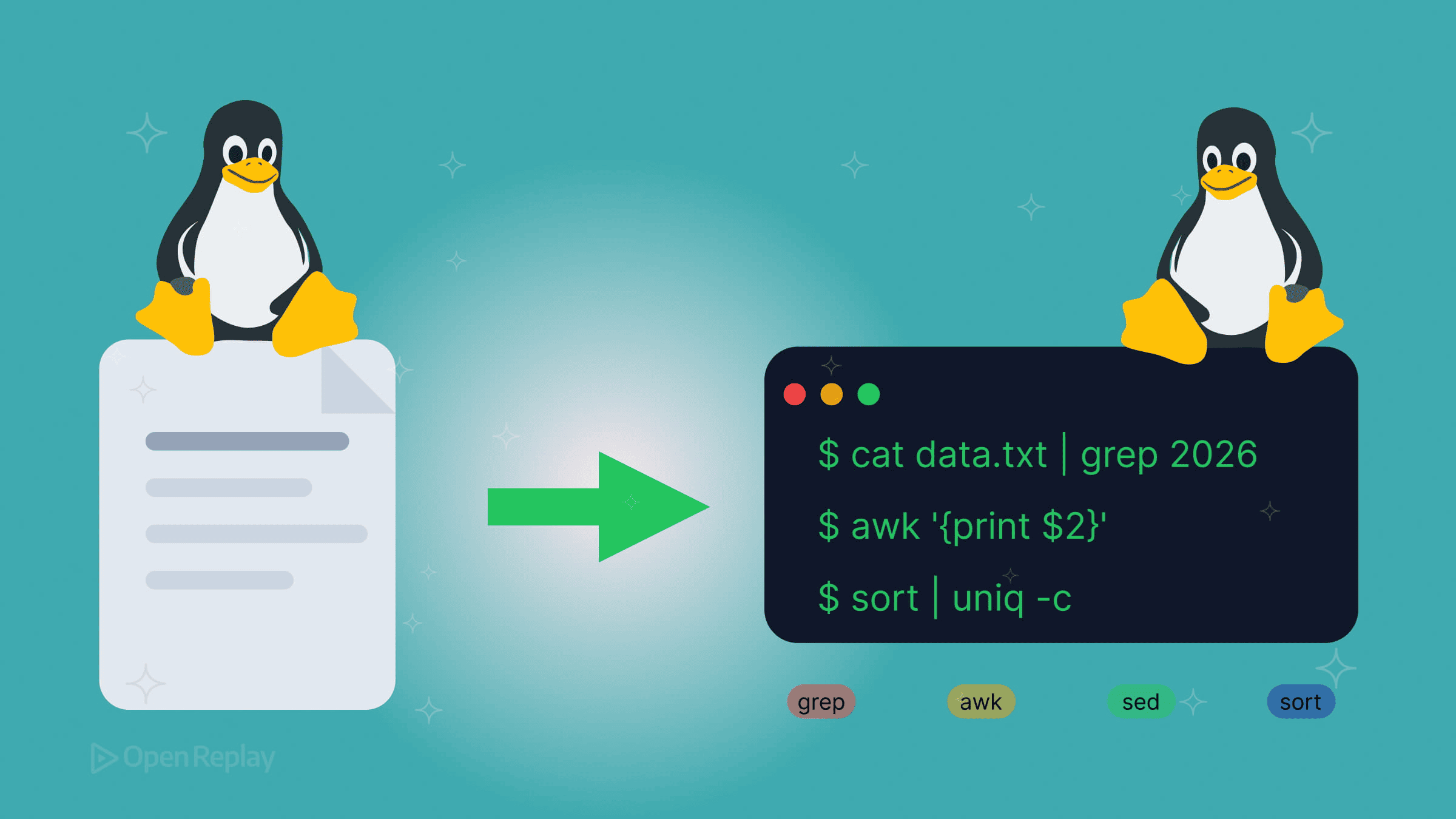 Linux Text Processing Cheat Sheet