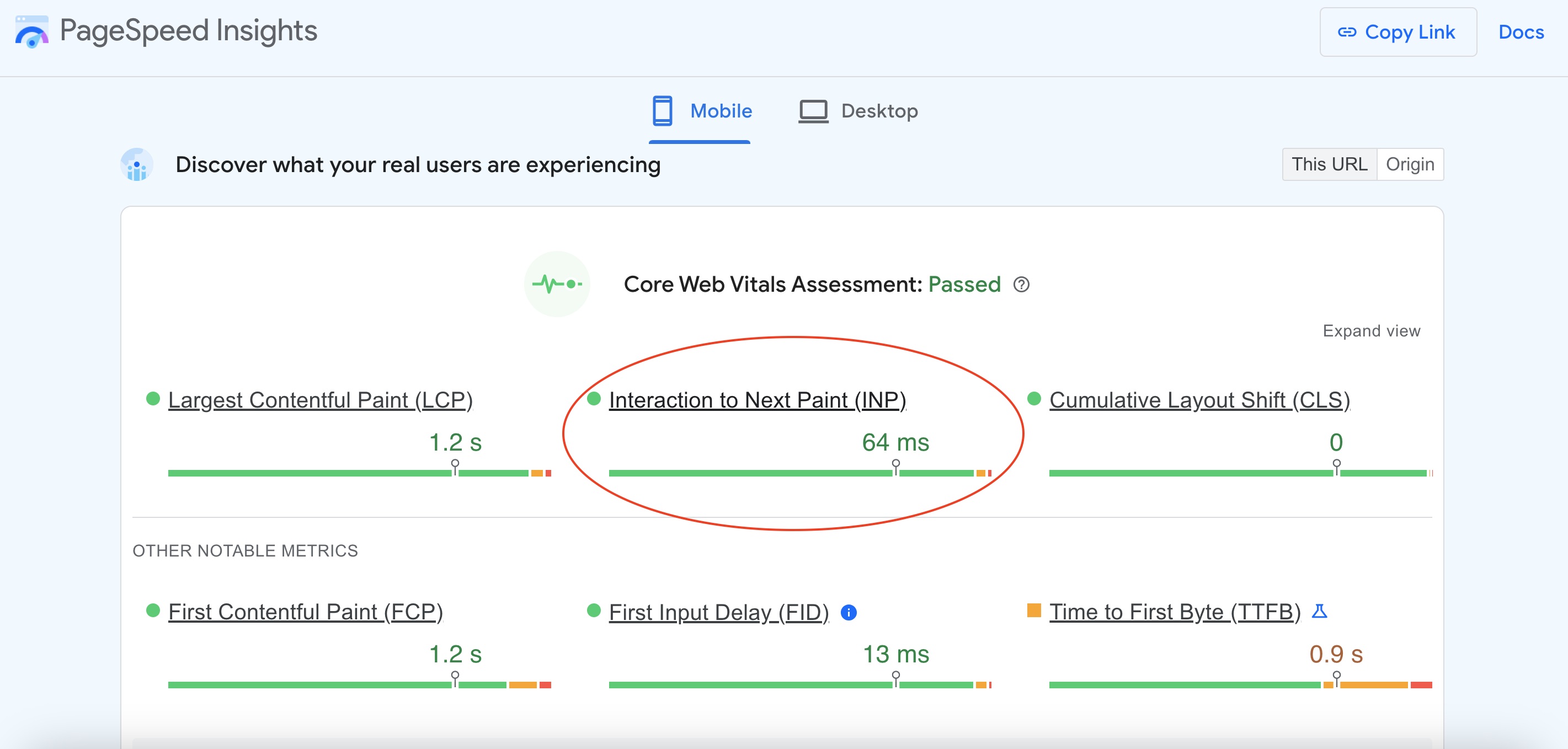 Checking INP Score on PageSpeed Insights 1