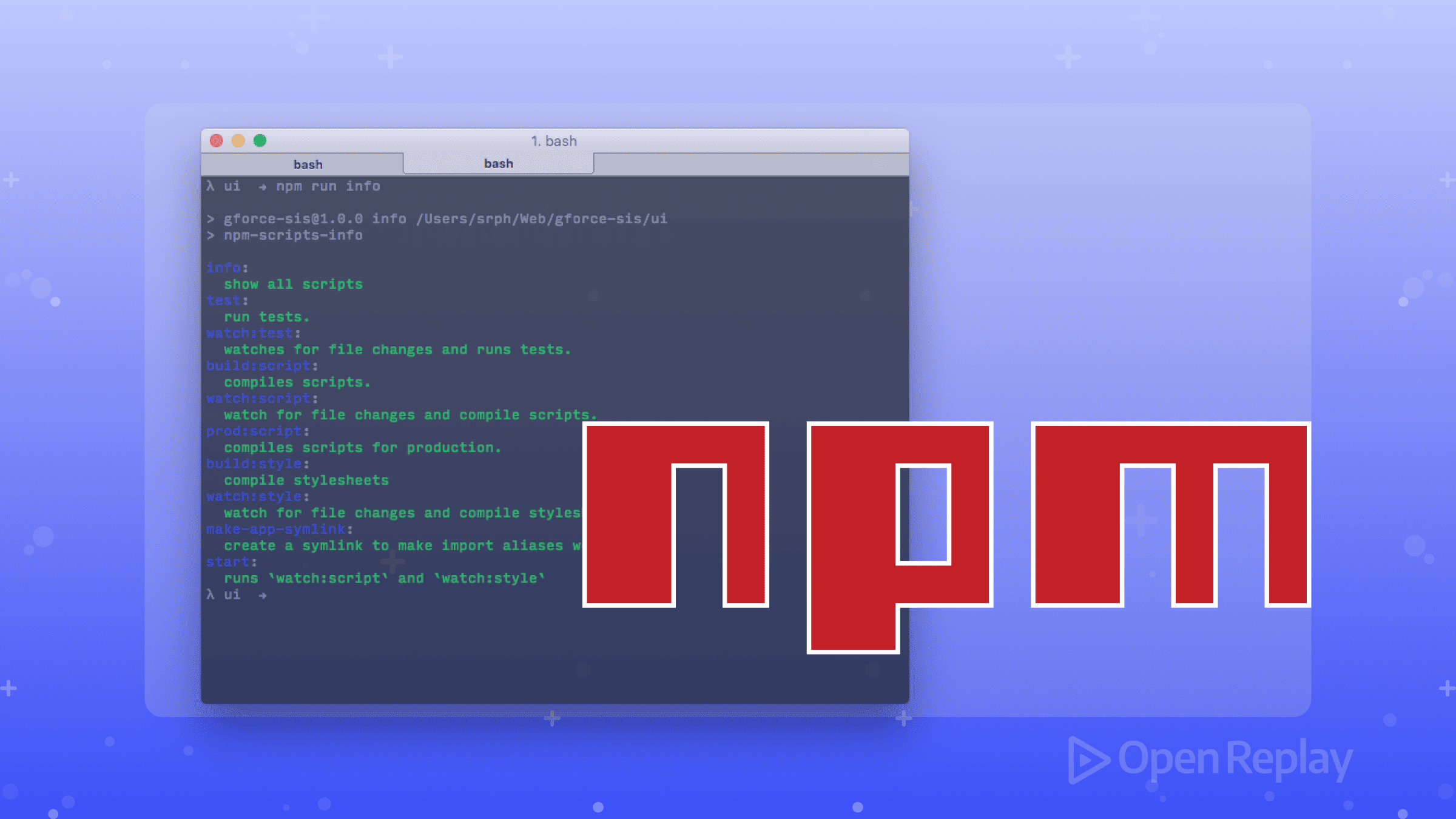 Practical Uses of NPM Scripts Beyond Just Build and Start
