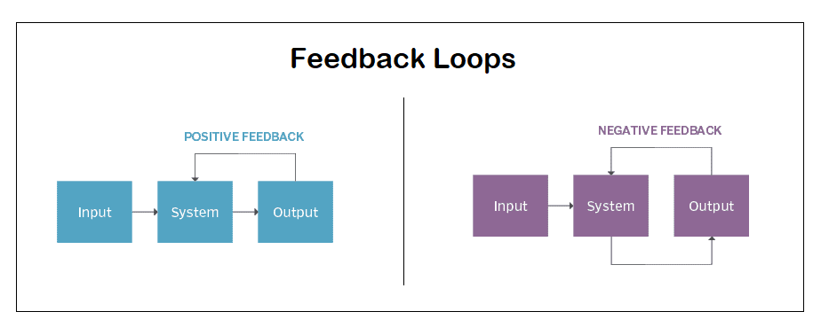 Feedback Loops