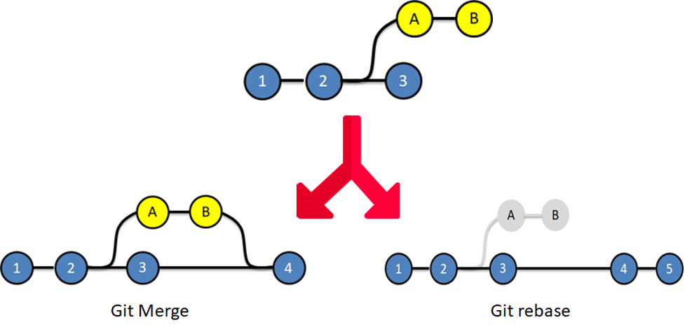 10 Eduraka Image